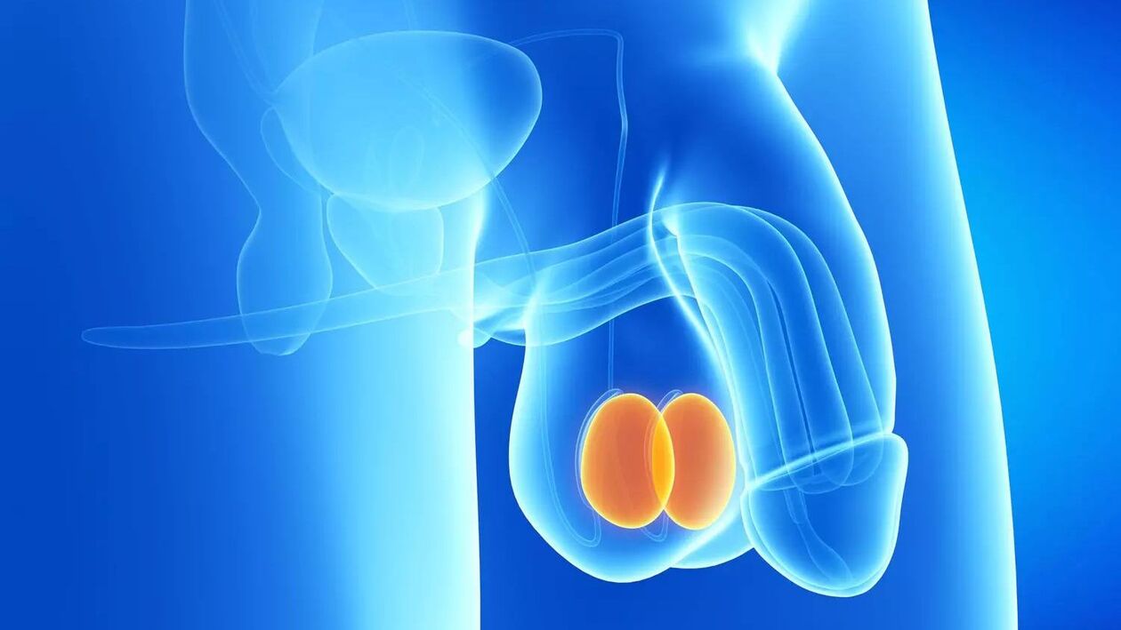 Coût de la chirurgie d’agrandissement du pénis